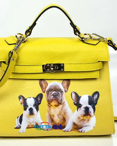 Solución de impresora UV para  Equipaje y bolsas